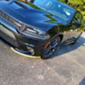 Meet your Posher, Adam